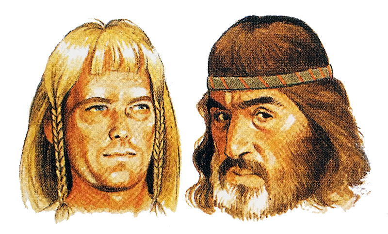 Причёски скандинавов-мужчин